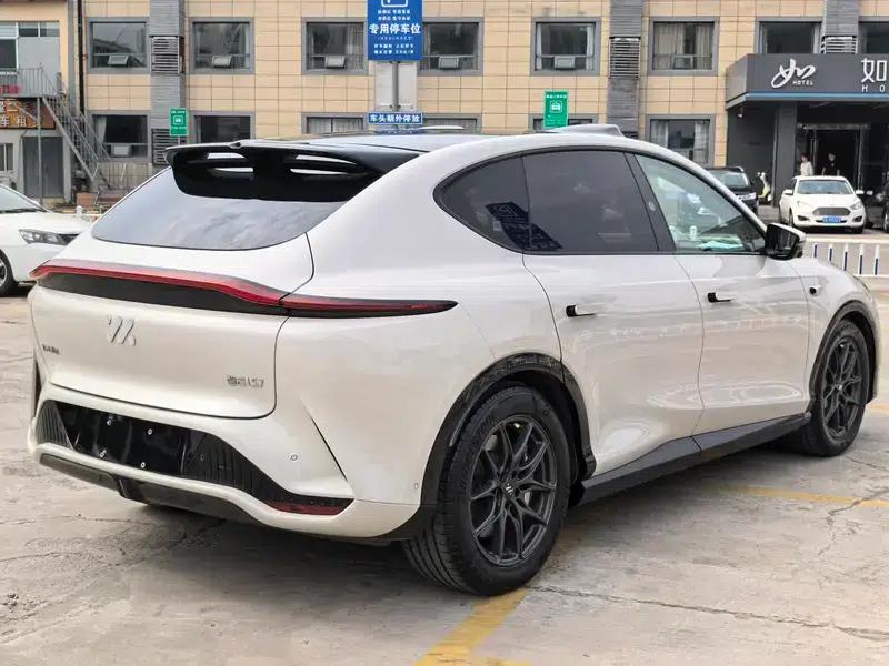 2024 LS7 Max Elite Rear-Wheel Drive — миниатюра 6