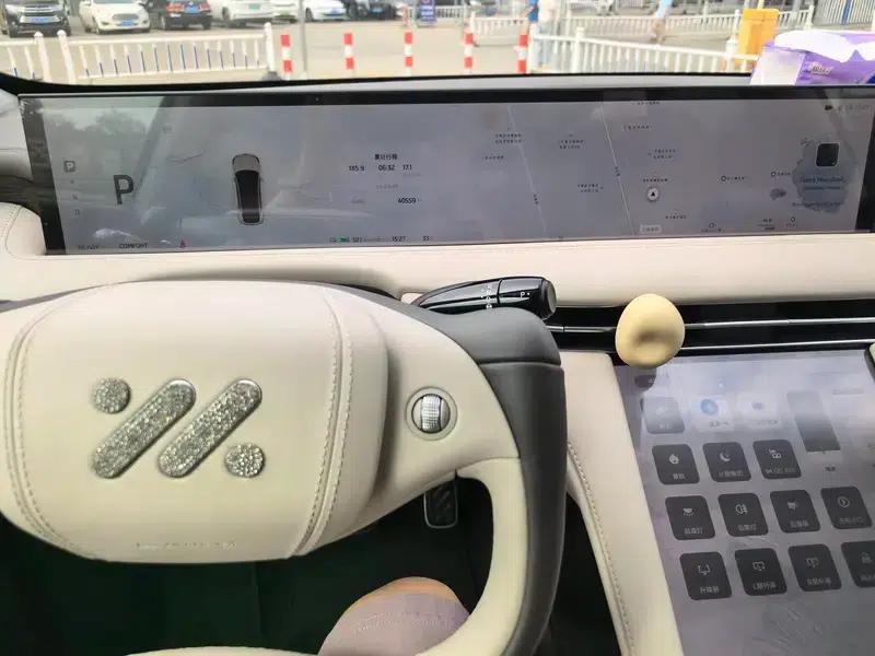 2024 LS7 Max Elite Rear-Wheel Drive — миниатюра 9