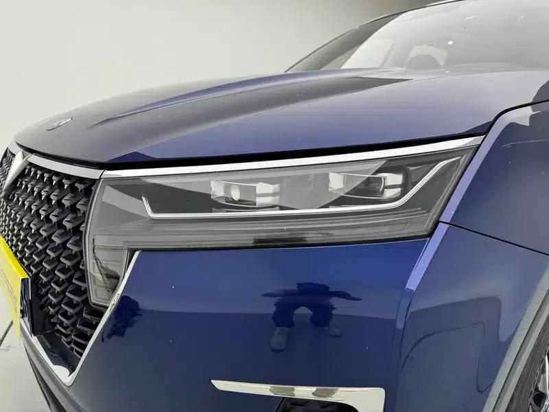 Venucia Star 2020 260T 48V Mild Hybrid Turbocharged Star Edition — миниатюра 12