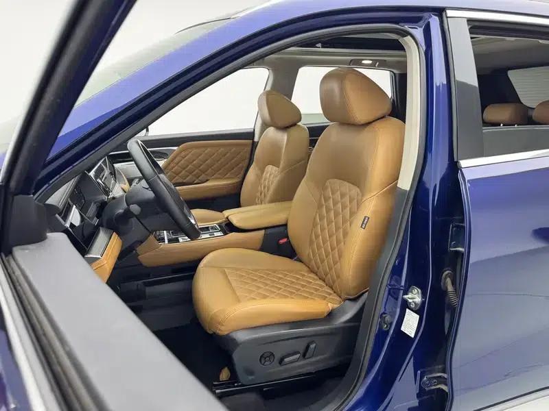 Venucia Star 2020 260T 48V Mild Hybrid Turbocharged Star Edition — миниатюра 20