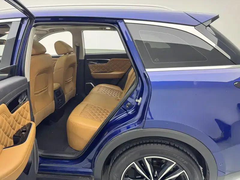 Venucia Star 2020 260T 48V Mild Hybrid Turbocharged Star Edition — миниатюра 22