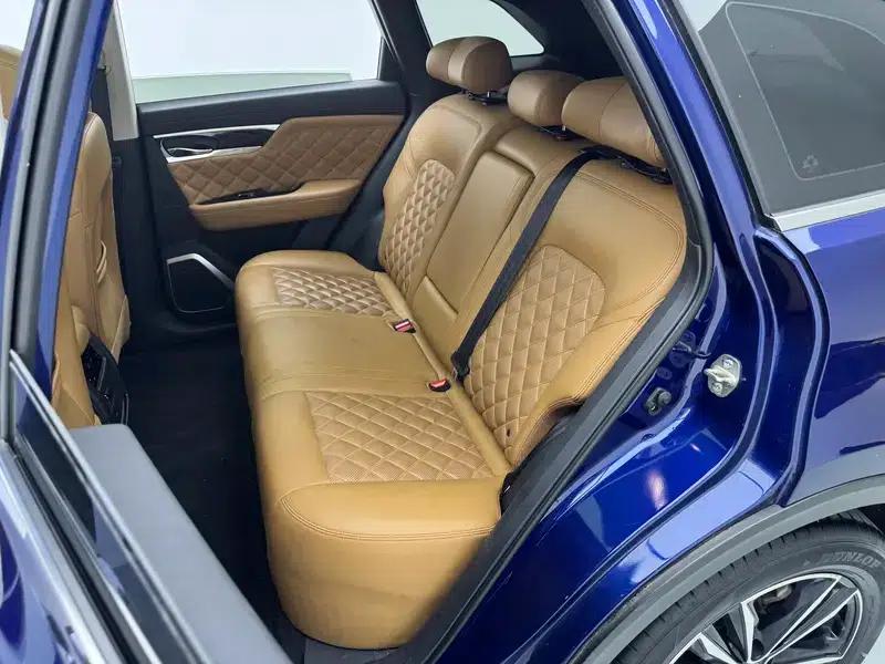 Venucia Star 2020 260T 48V Mild Hybrid Turbocharged Star Edition — миниатюра 23
