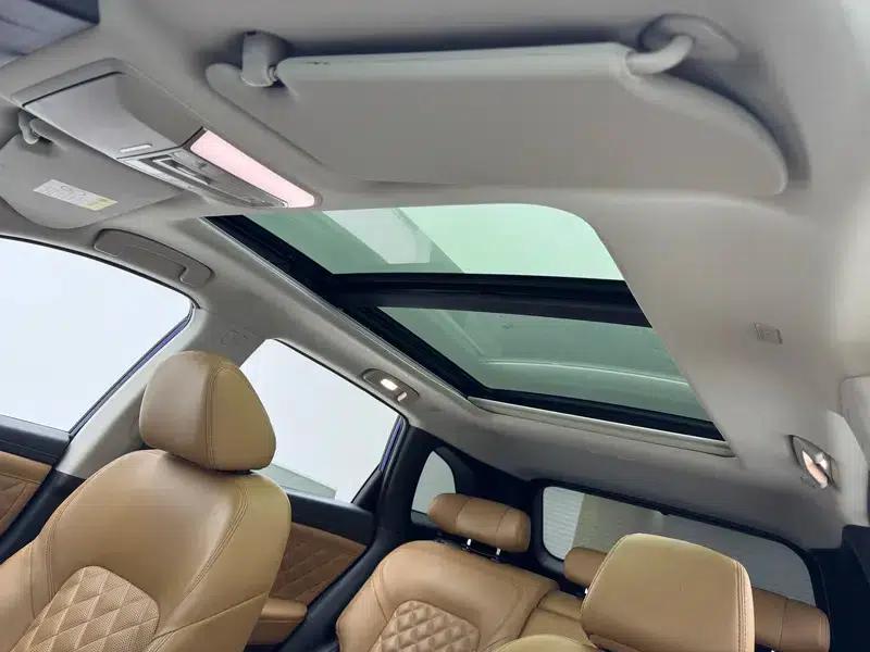 Venucia Star 2020 260T 48V Mild Hybrid Turbocharged Star Edition — миниатюра 24