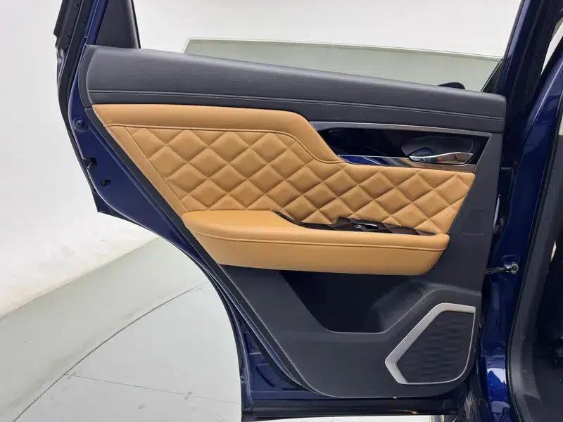 Venucia Star 2020 260T 48V Mild Hybrid Turbocharged Star Edition — миниатюра 27