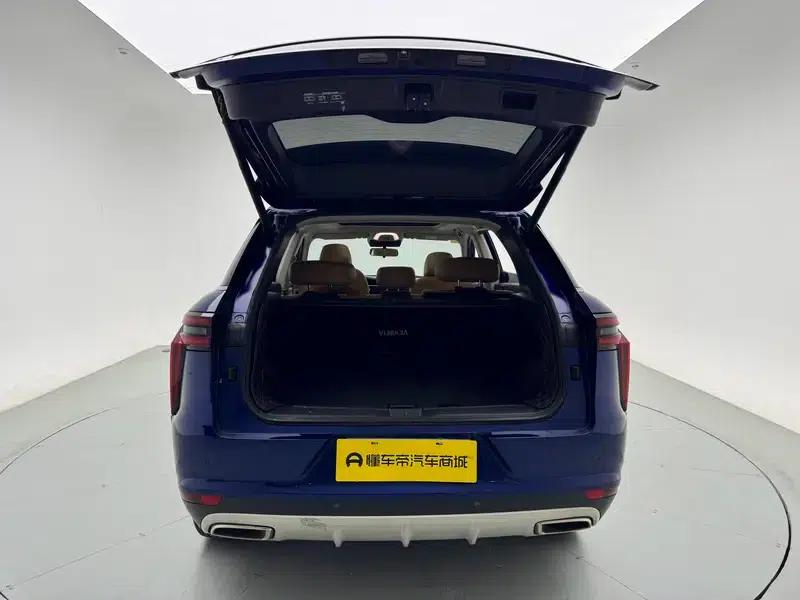 Venucia Star 2020 260T 48V Mild Hybrid Turbocharged Star Edition — миниатюра 28