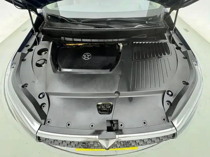 Venucia Star 2020 260T 48V Mild Hybrid Turbocharged Star Edition — миниатюра 10