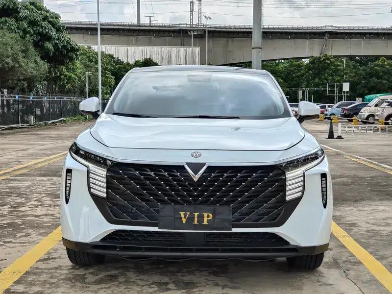 Venucia V2022 260T Idol Edition — миниатюра 2