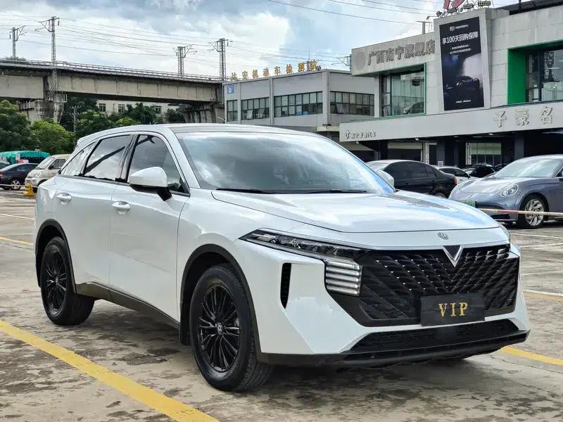 Venucia V2022 260T Idol Edition — миниатюра 3