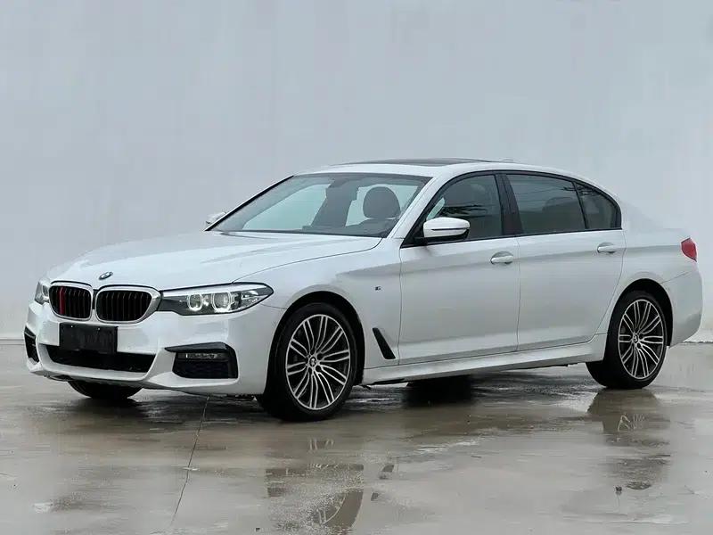 2019 BMW 5 Series 530Li Leading Edition M Sport Package — миниатюра 1