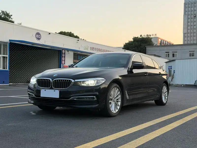 BMW 5 Series 2019 530Li Leading Luxury Package — миниатюра 1