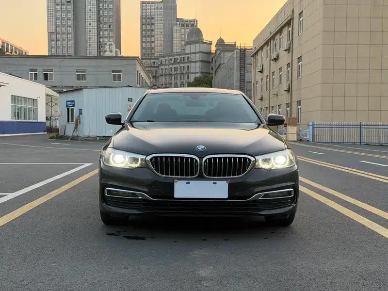 BMW 5 Series 2019 530Li Leading Luxury Package — миниатюра 2