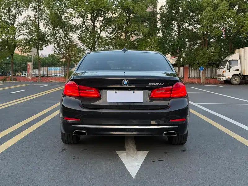 BMW 5 Series 2019 530Li Leading Luxury Package — миниатюра 5