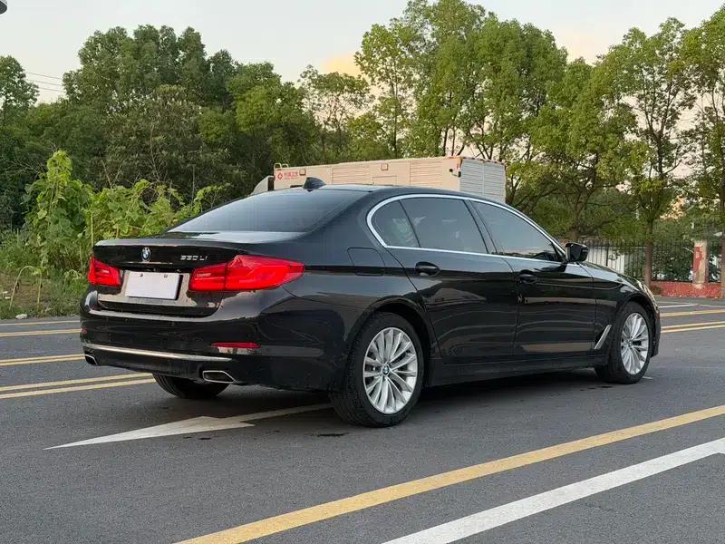 BMW 5 Series 2019 530Li Leading Luxury Package — миниатюра 6