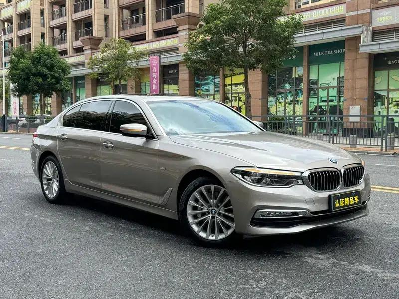 2018 BMW 5 Series Facelift 530Li Leading Luxury Package — миниатюра 3