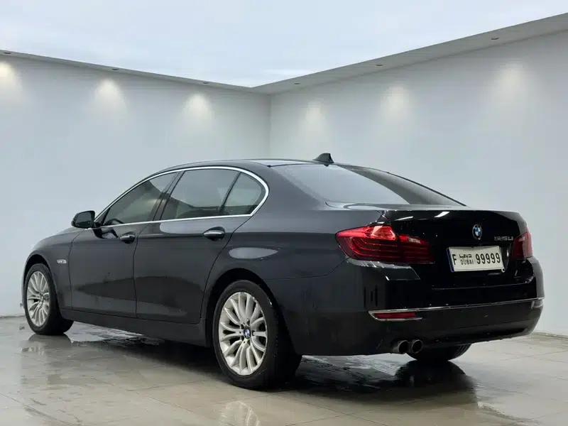 2014 BMW 5 Series 525Li Luxury Design Package — миниатюра 4