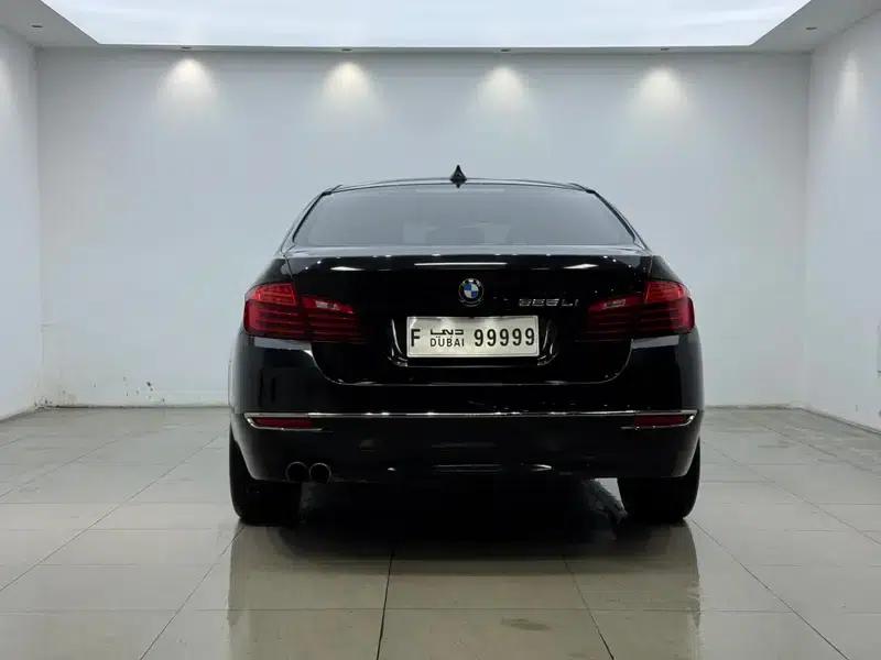 2014 BMW 5 Series 525Li Luxury Design Package — миниатюра 5
