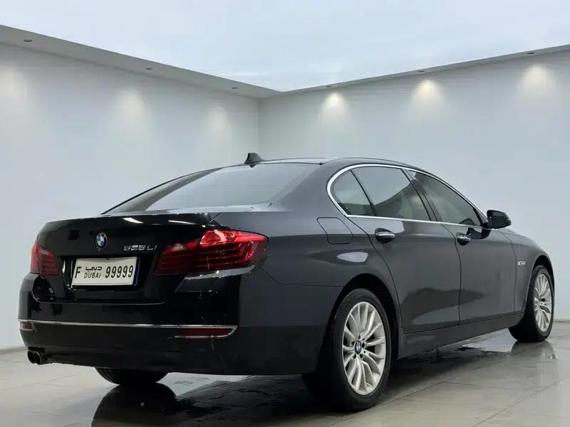 2014 BMW 5 Series 525Li Luxury Design Package — миниатюра 6