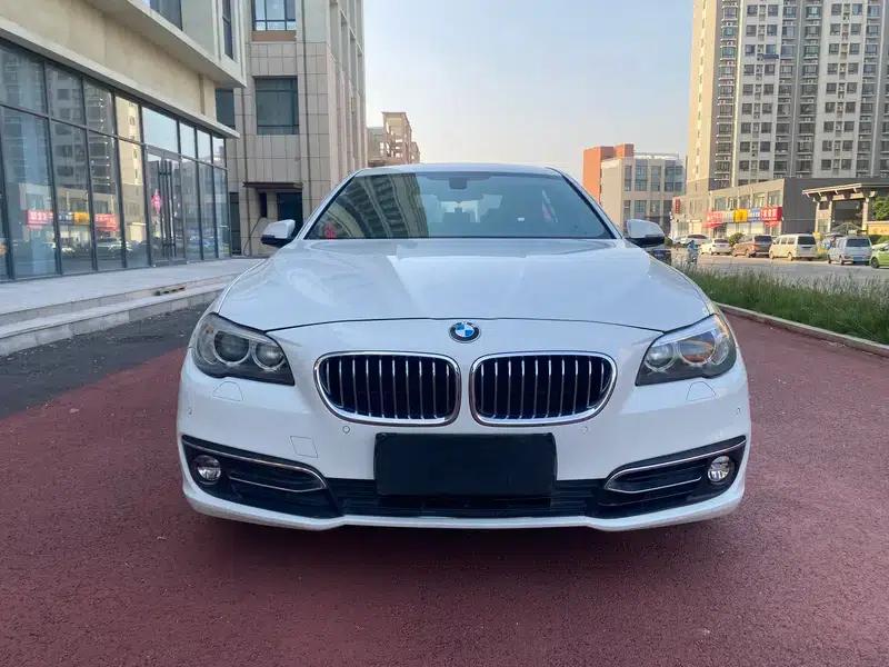 2014 BMW 5 Series 525Li Luxury Design Package — миниатюра 2
