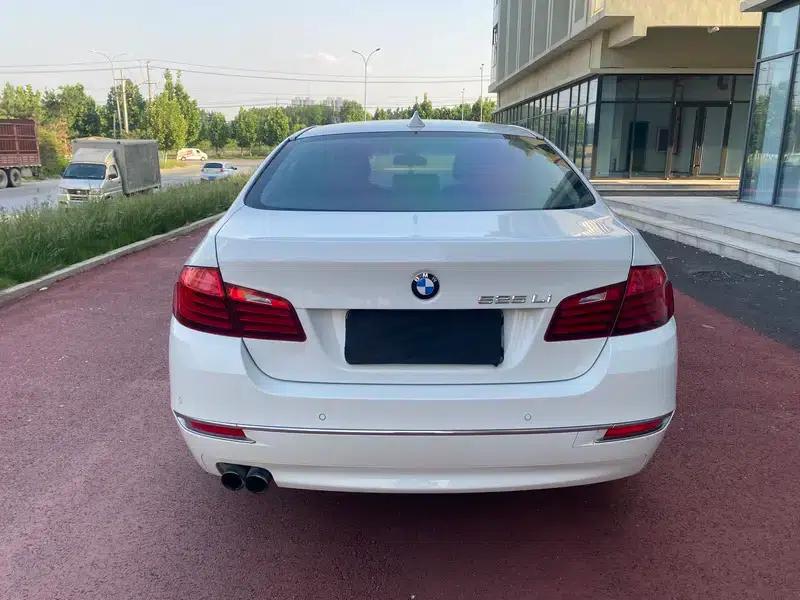 2014 BMW 5 Series 525Li Luxury Design Package — миниатюра 4