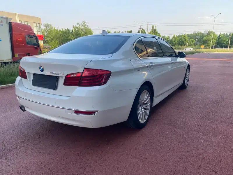2014 BMW 5 Series 525Li Luxury Design Package — миниатюра 5