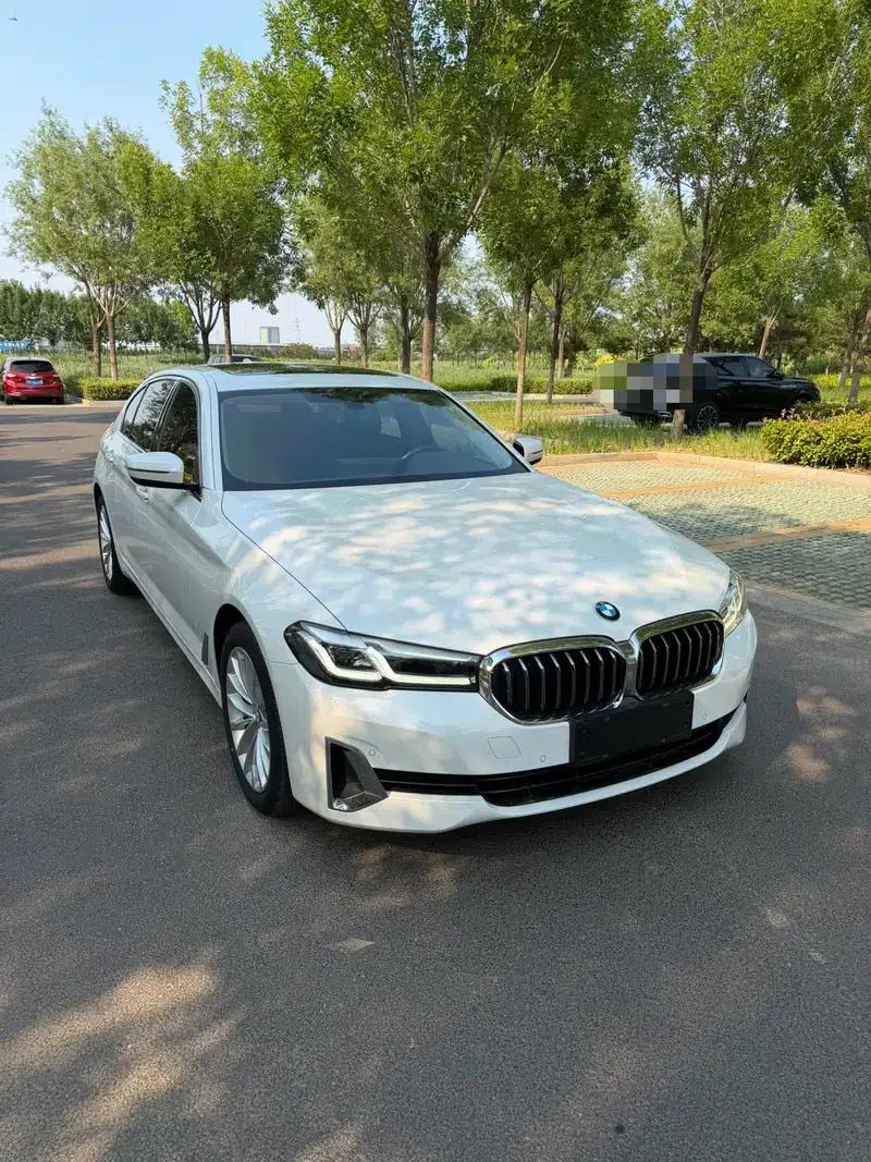2021 BMW 5 Series 525Li Luxury Package — миниатюра 3