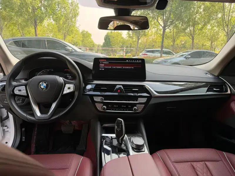 2021 BMW 5 Series 525Li Luxury Package — миниатюра 8