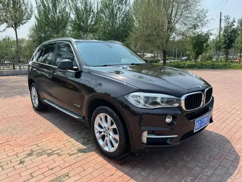 BMW X5 (Imported) 2014 xDrive35i Elegant Edition — миниатюра 3