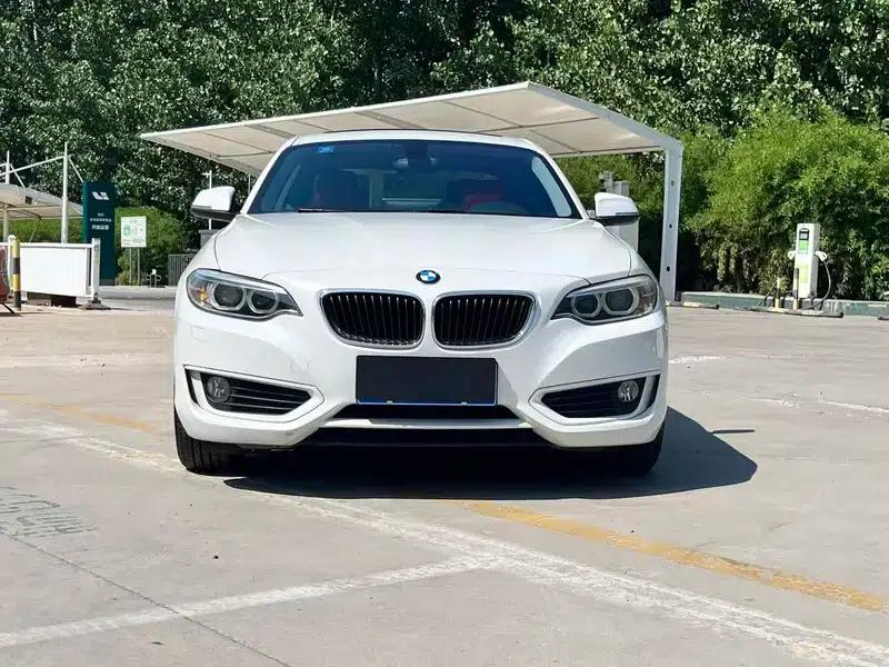 BMW 2 Series (Imported) 2014 220i Leading Edition — миниатюра 2