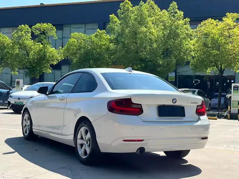 BMW 2 Series (Imported) 2014 220i Leading Edition — миниатюра 5