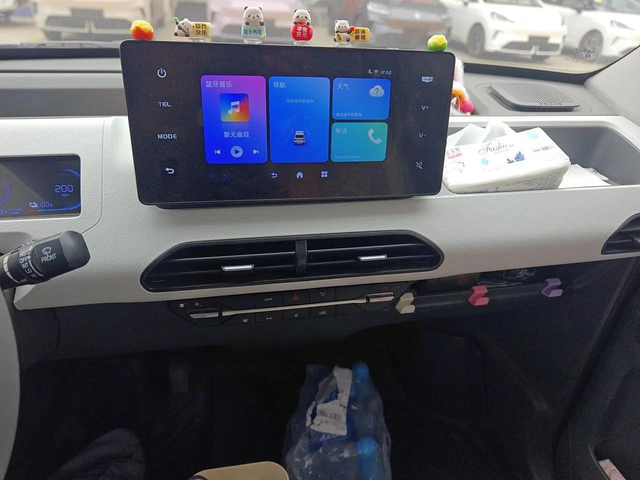 Geely Galaxy Panda 2024 Panda Mini 200km Endurance Bear — миниатюра 13