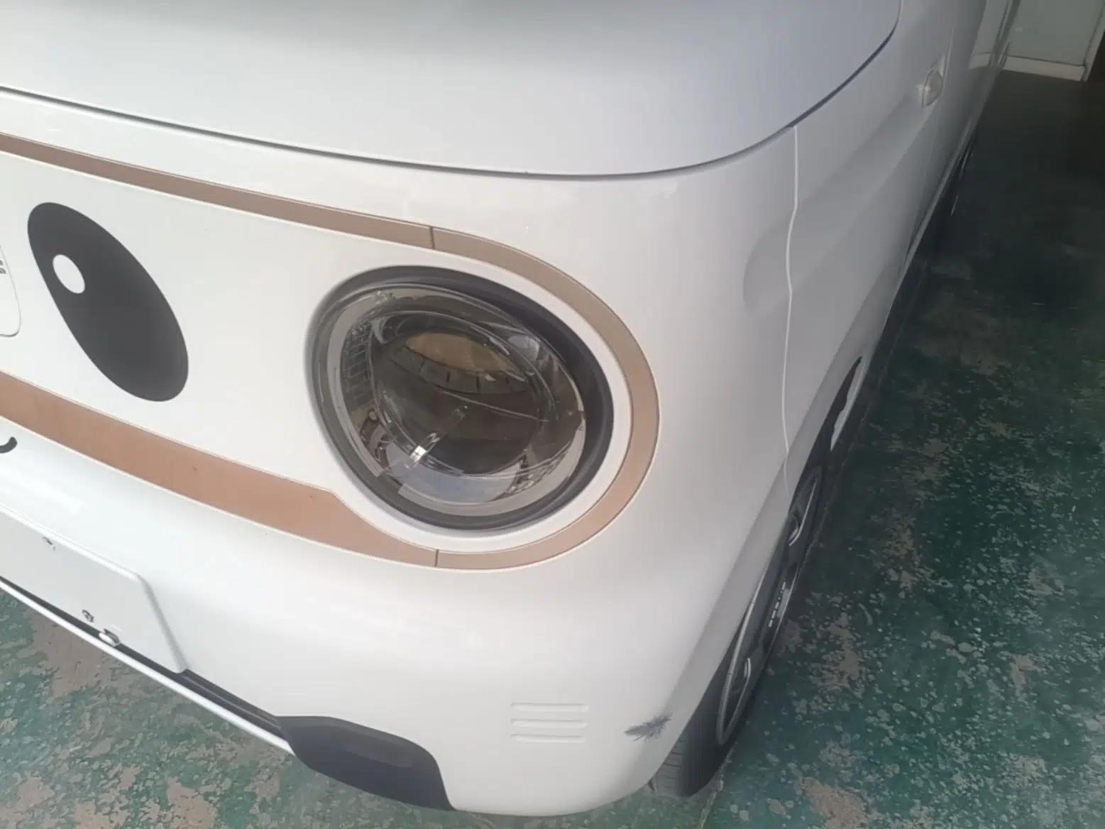 Geely Galaxy Panda 2023 Panda Mini 200km Dynamic Bear — миниатюра 8