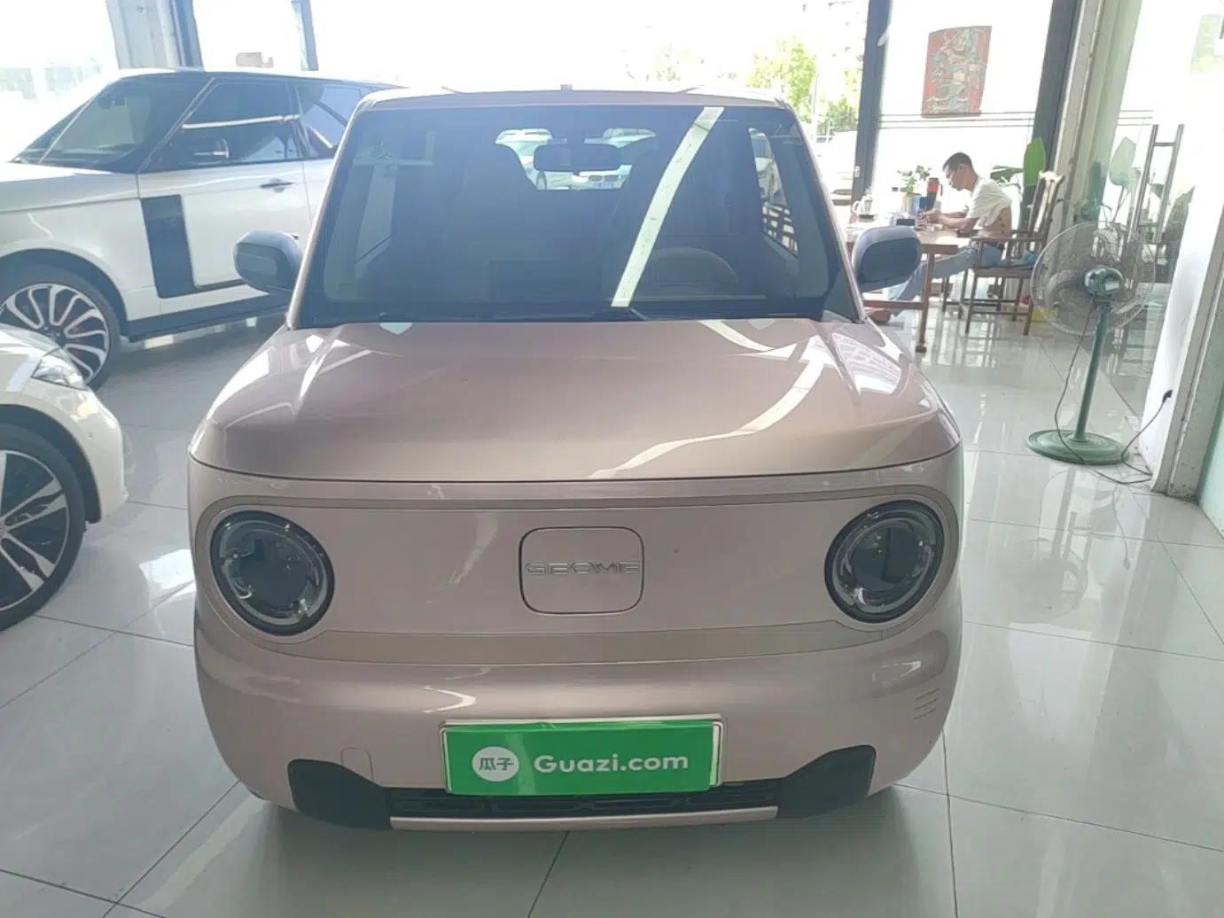 Geely Galaxy Panda 2023 Panda Mini 200km Endurance Bear — миниатюра 2