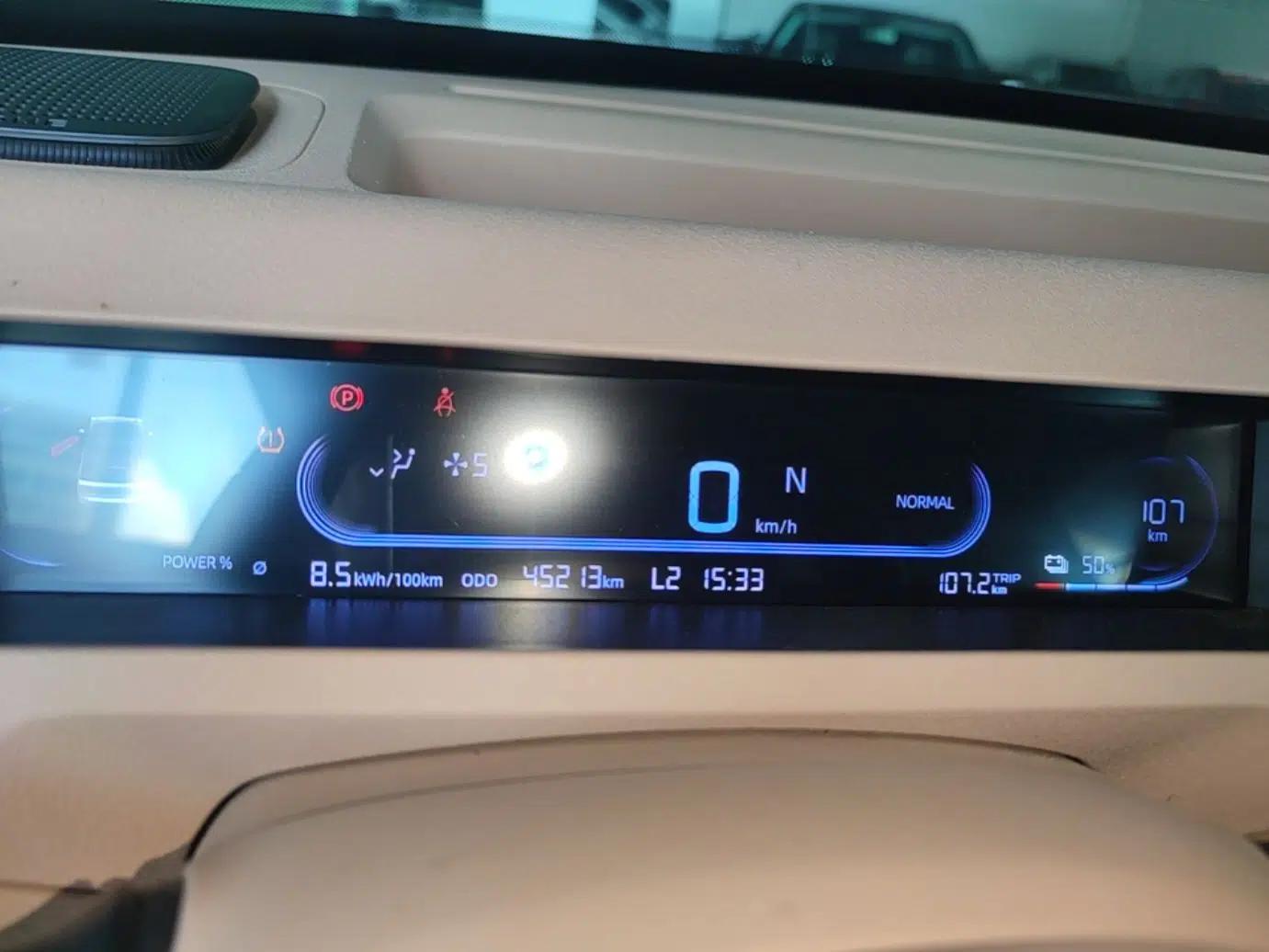 Geely Galaxy Panda 2023 Panda Mini 200km Endurance Bear — миниатюра 14