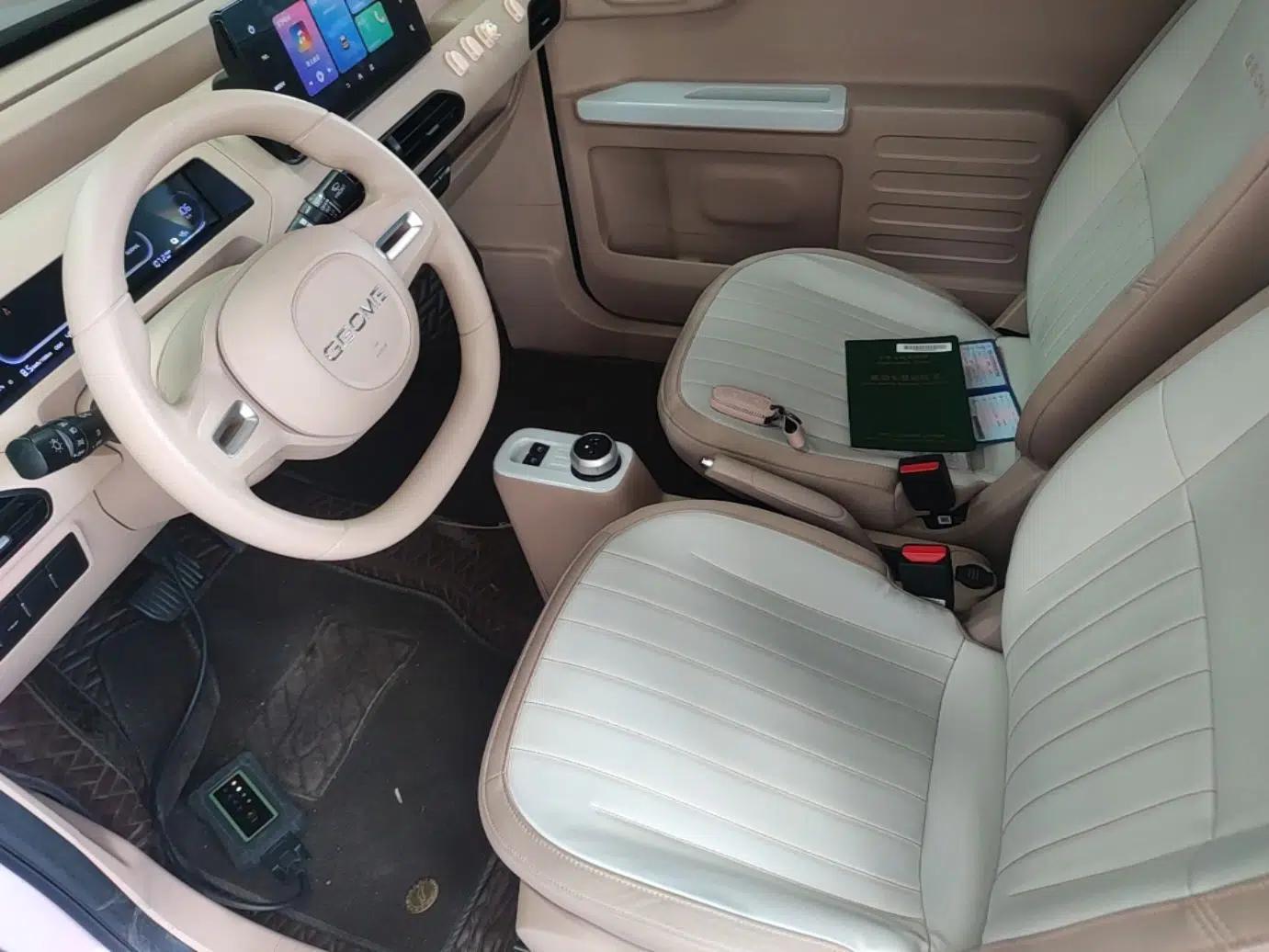 Geely Galaxy Panda 2023 Panda Mini 200km Endurance Bear — миниатюра 17