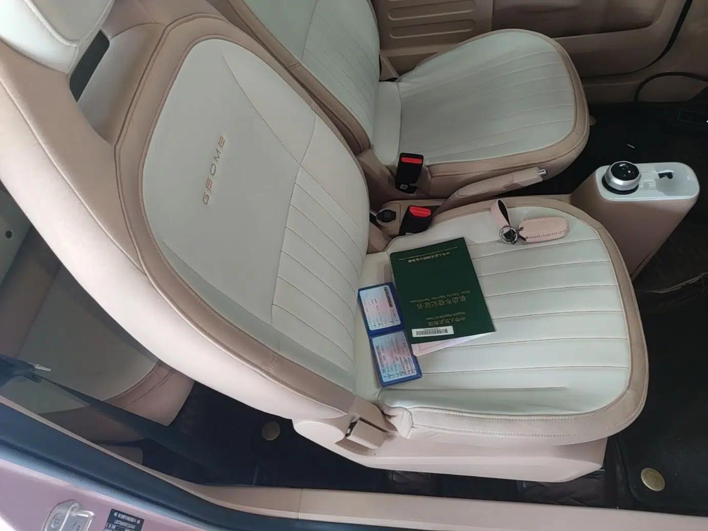 Geely Galaxy Panda 2023 Panda Mini 200km Endurance Bear — миниатюра 19