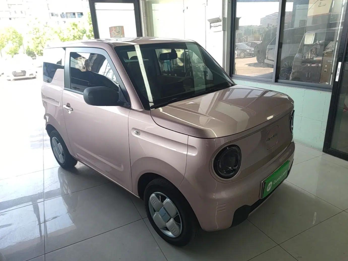 Geely Galaxy Panda 2023 Panda Mini 200km Endurance Bear — миниатюра 3