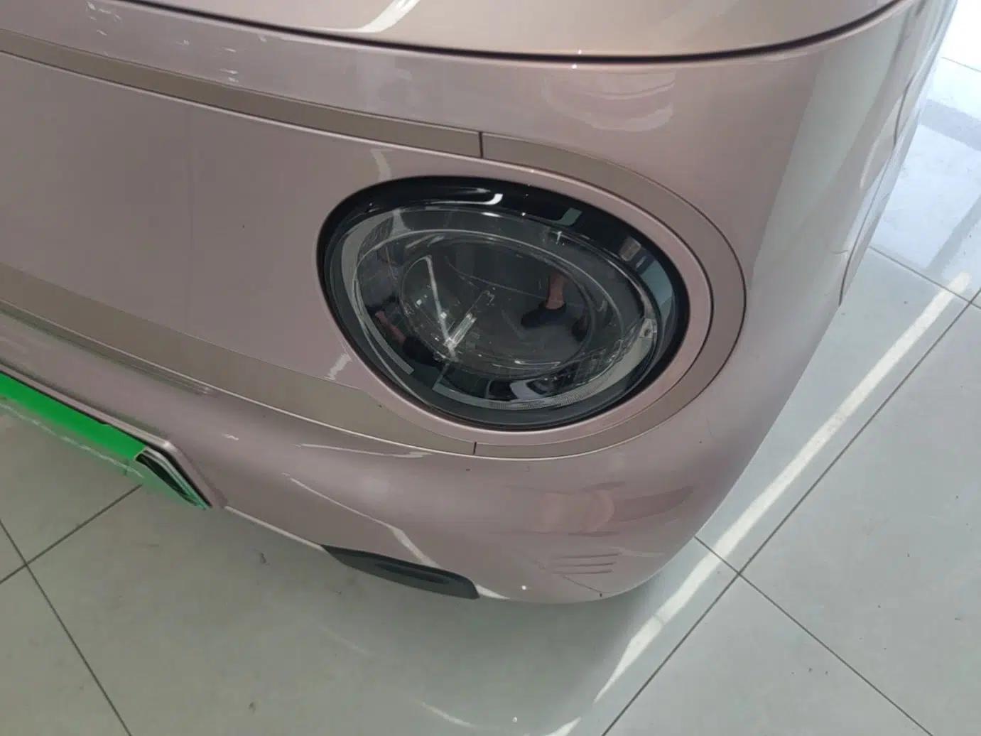Geely Galaxy Panda 2023 Panda Mini 200km Endurance Bear — миниатюра 8