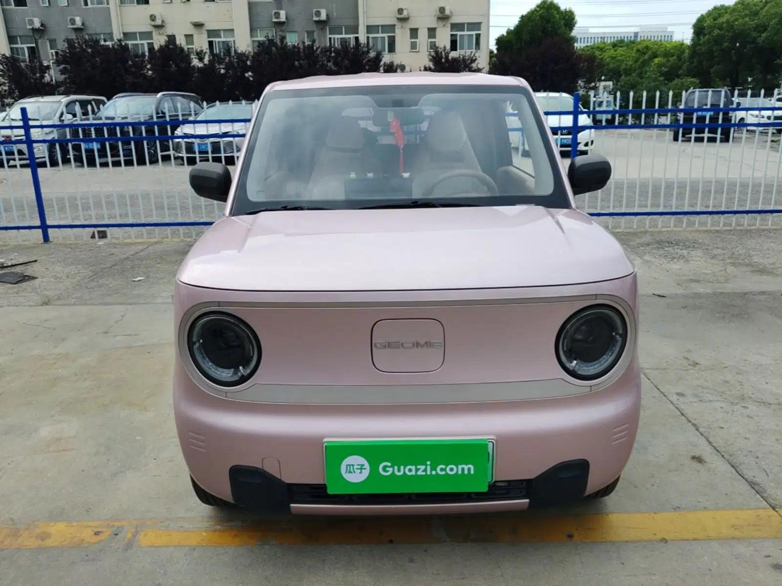Geely Galaxy Panda 2023 Panda Mini 200km Endurance Bear — миниатюра 2