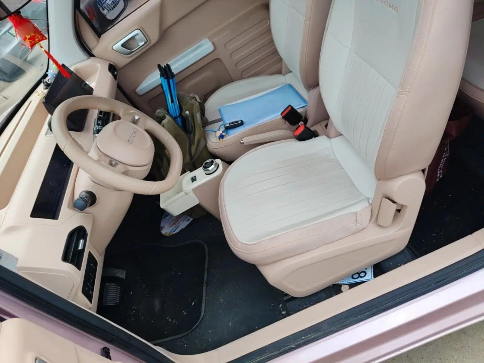 Geely Galaxy Panda 2023 Panda Mini 200km Endurance Bear — миниатюра 17