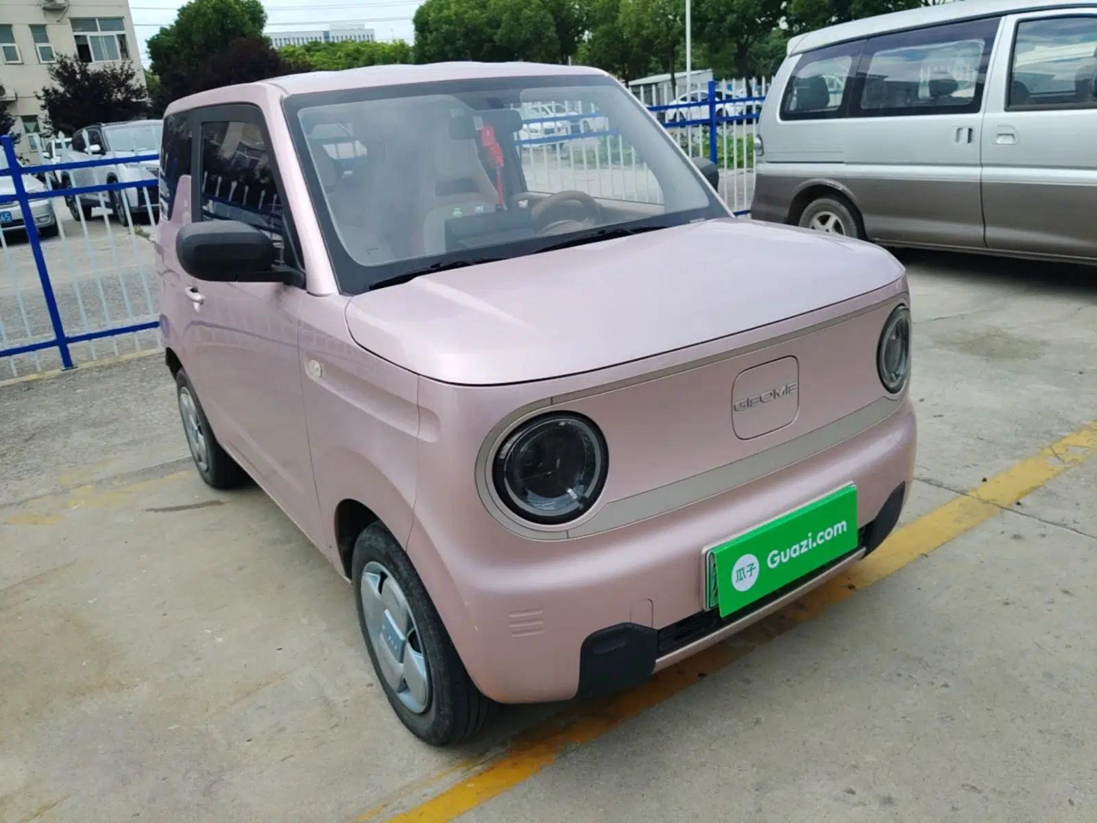 Geely Galaxy Panda 2023 Panda Mini 200km Endurance Bear — миниатюра 3