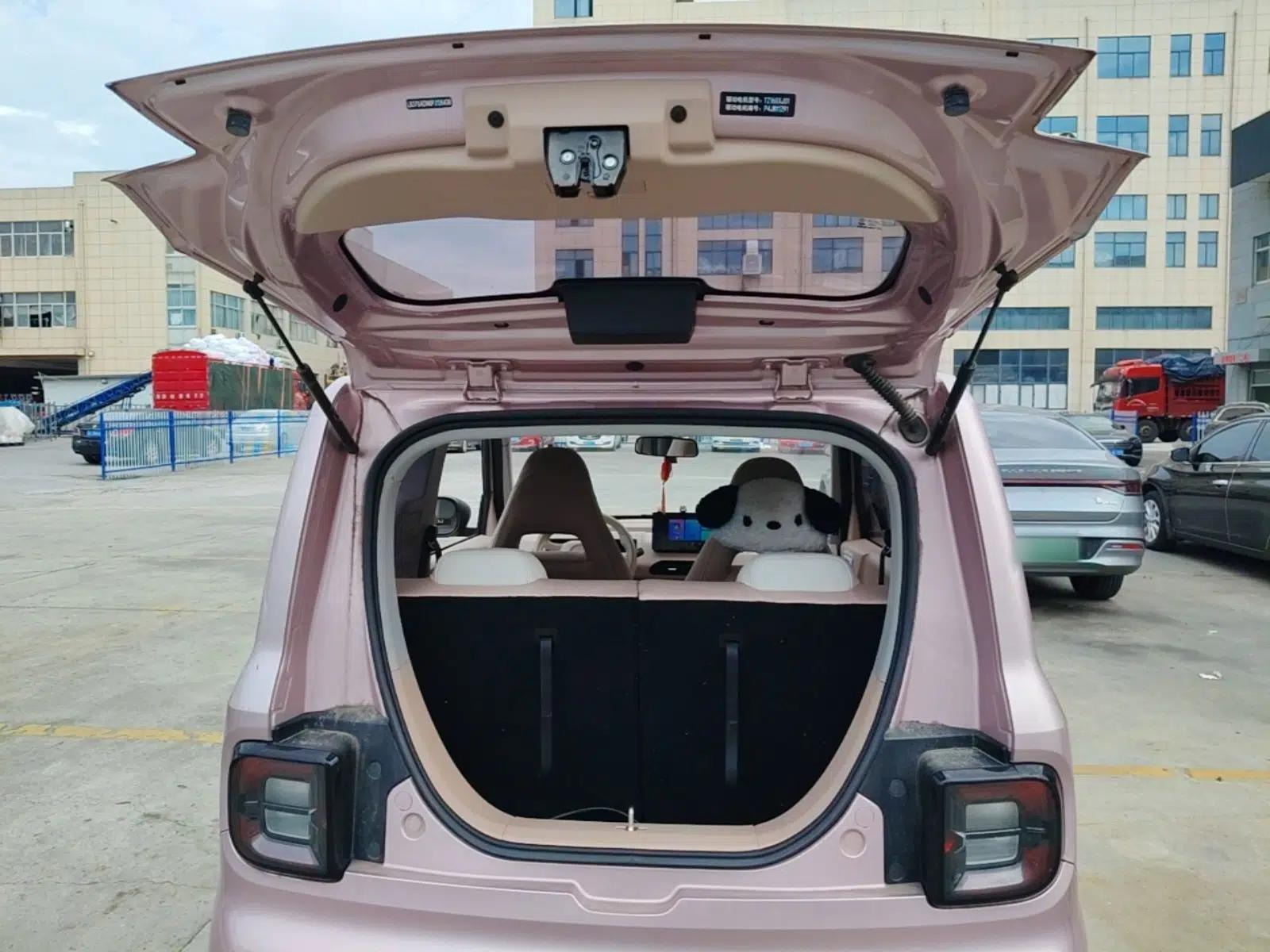 Geely Galaxy Panda 2023 Panda Mini 200km Endurance Bear — миниатюра 22