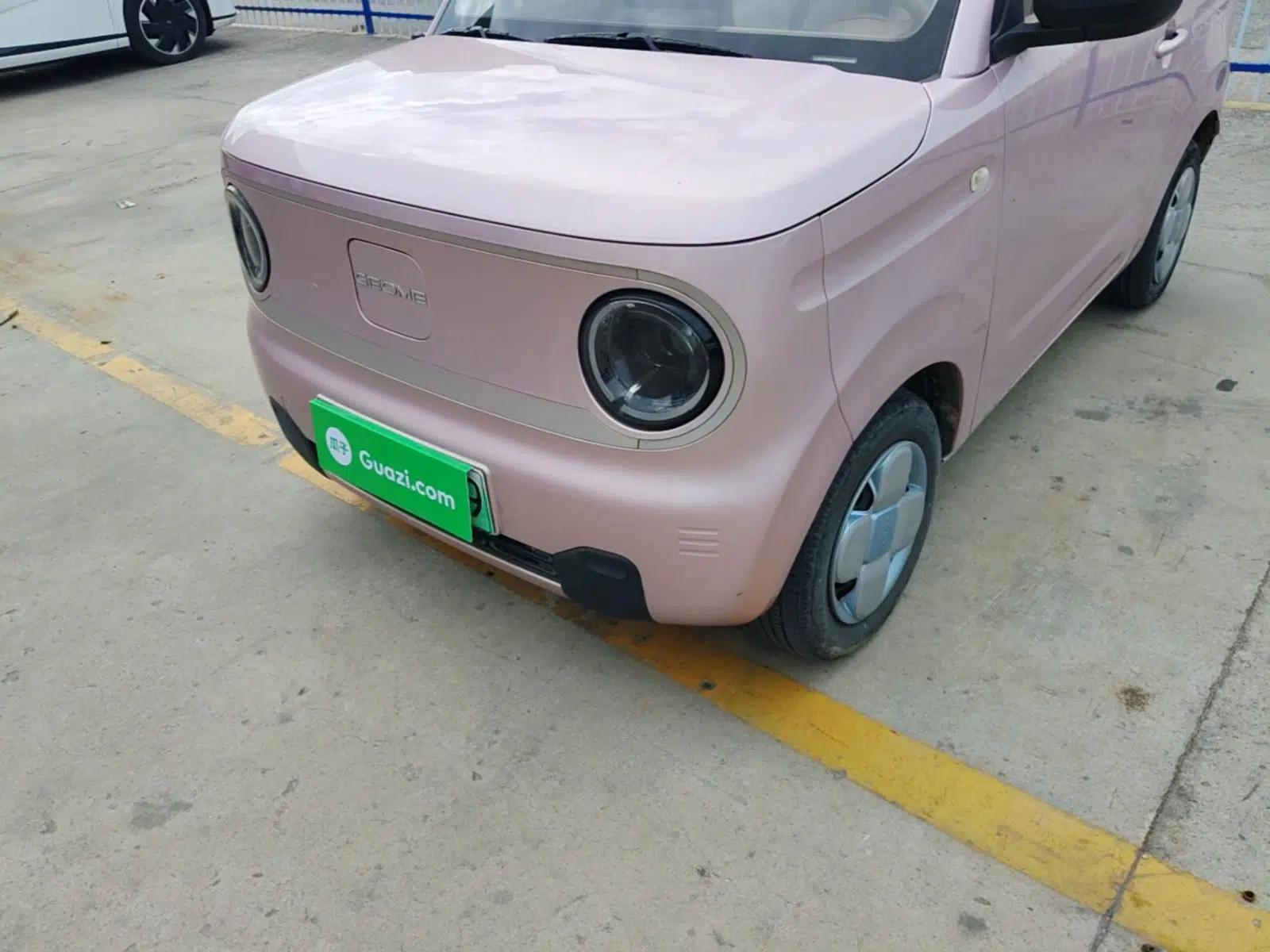 Geely Galaxy Panda 2023 Panda Mini 200km Endurance Bear — миниатюра 8