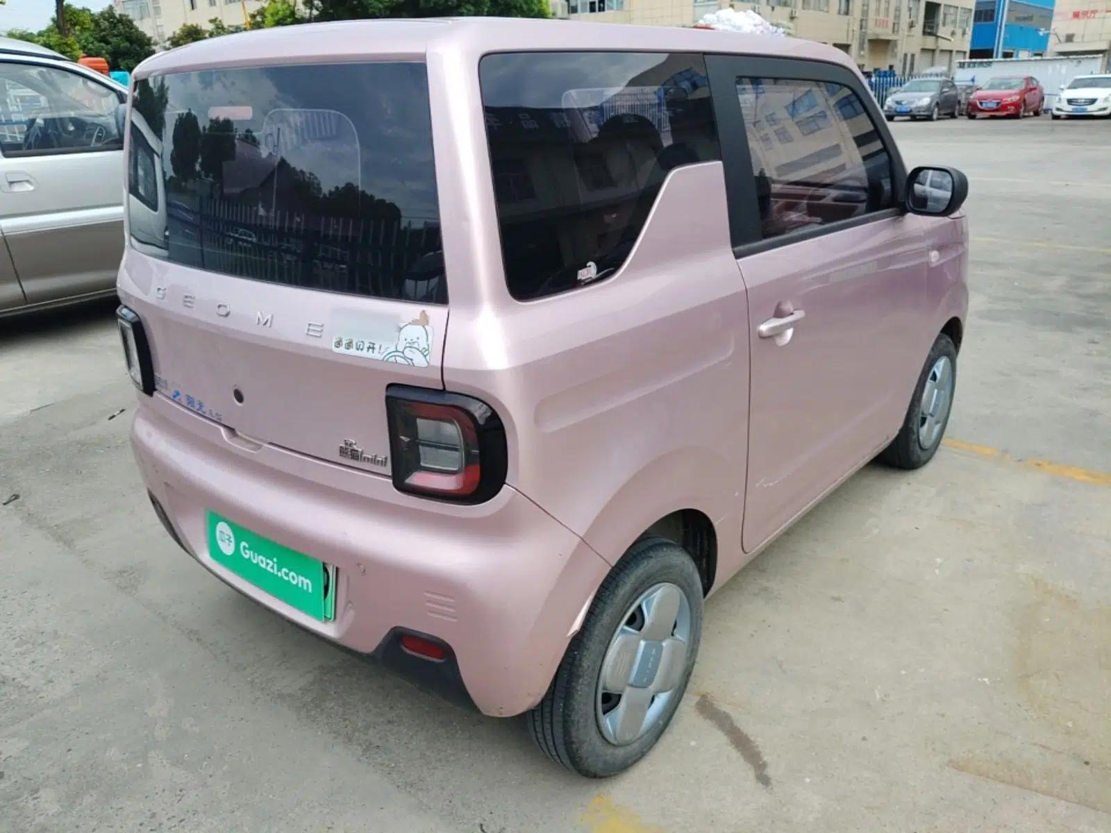Geely Galaxy Panda 2023 Panda Mini 200km Endurance Bear — миниатюра 9