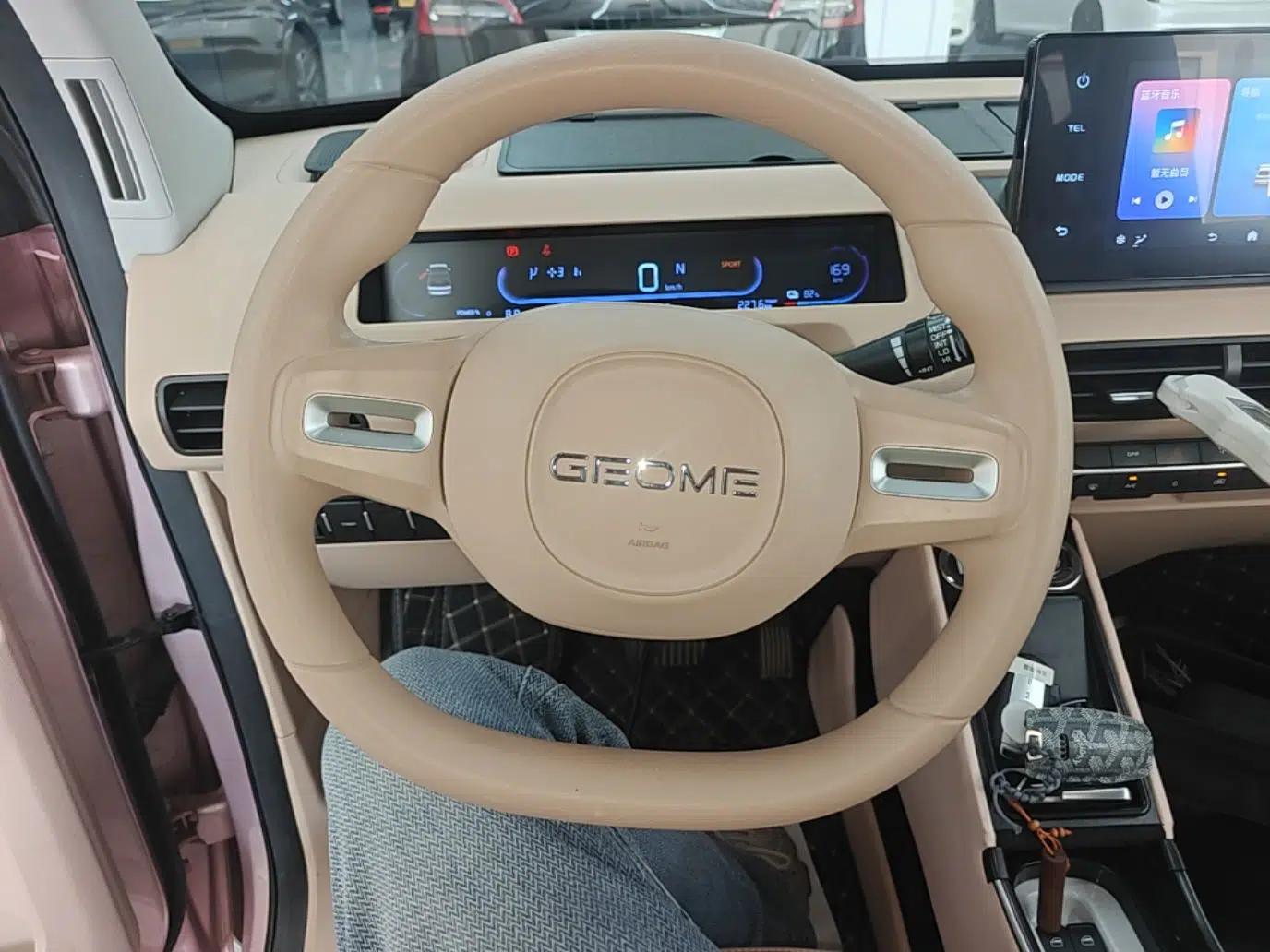 Geely Galaxy Panda 2023 Panda Mini 200km Endurance Bear — миниатюра 13