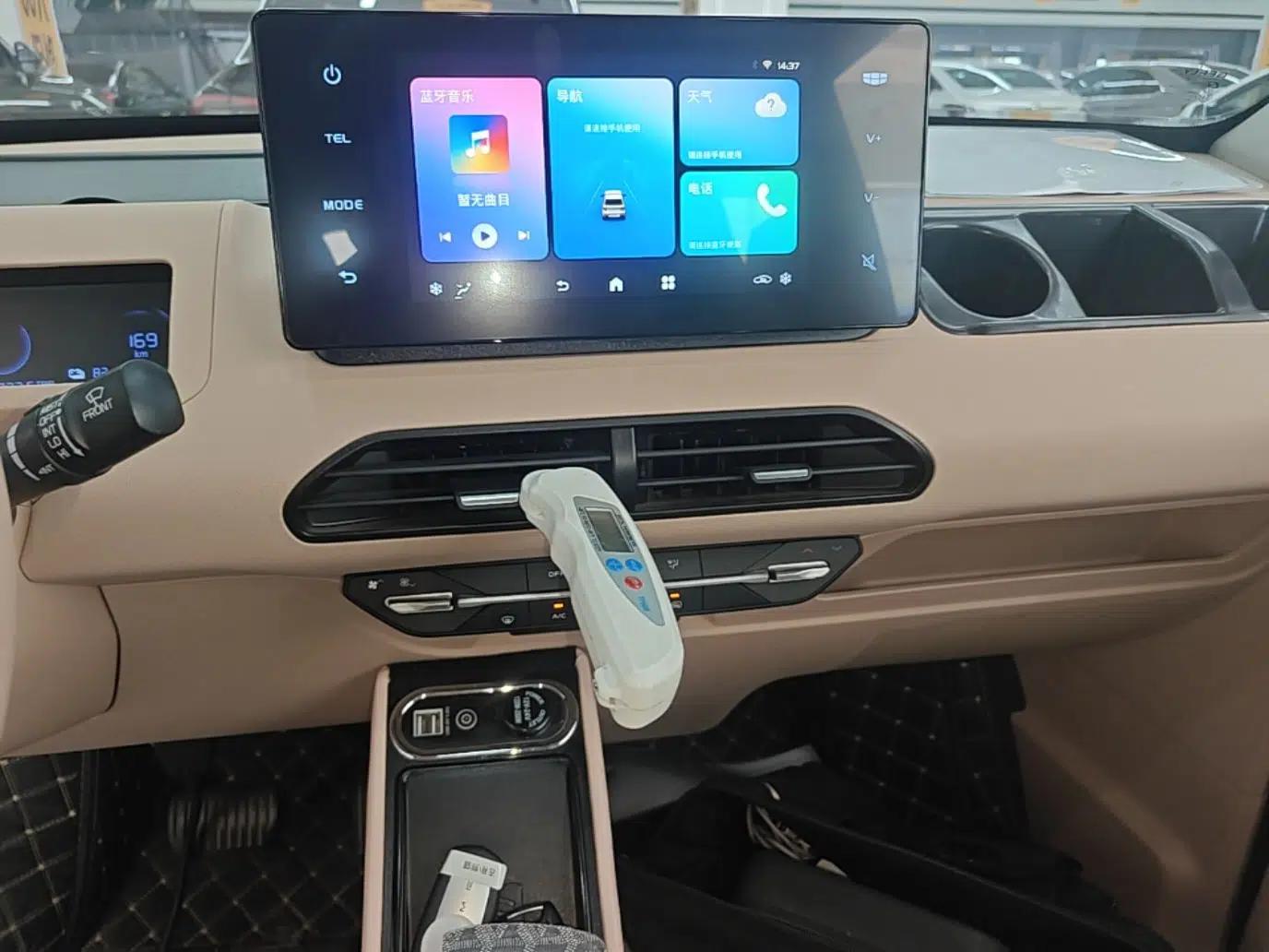 Geely Galaxy Panda 2023 Panda Mini 200km Endurance Bear — миниатюра 15