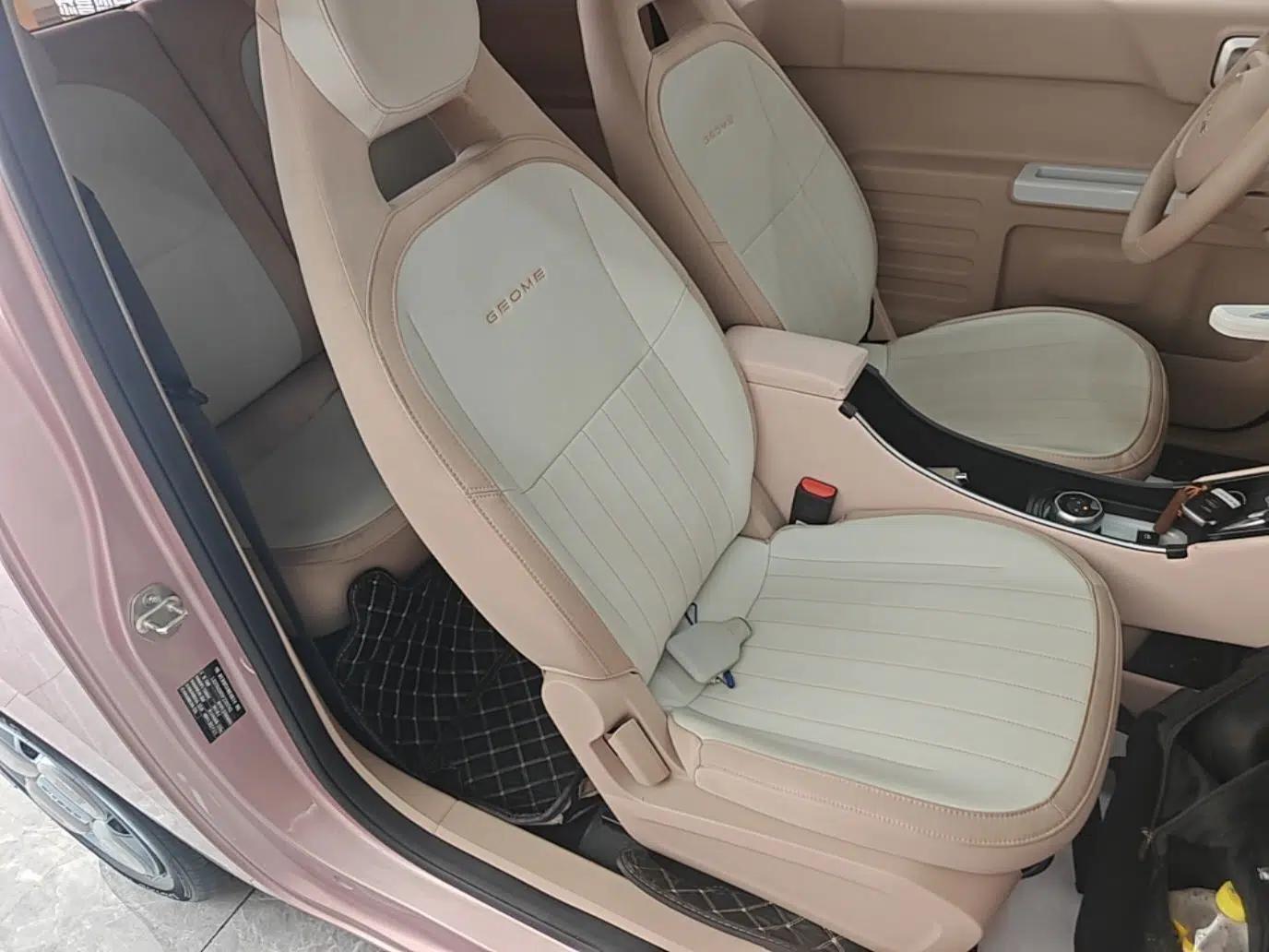 Geely Galaxy Panda 2023 Panda Mini 200km Endurance Bear — миниатюра 19