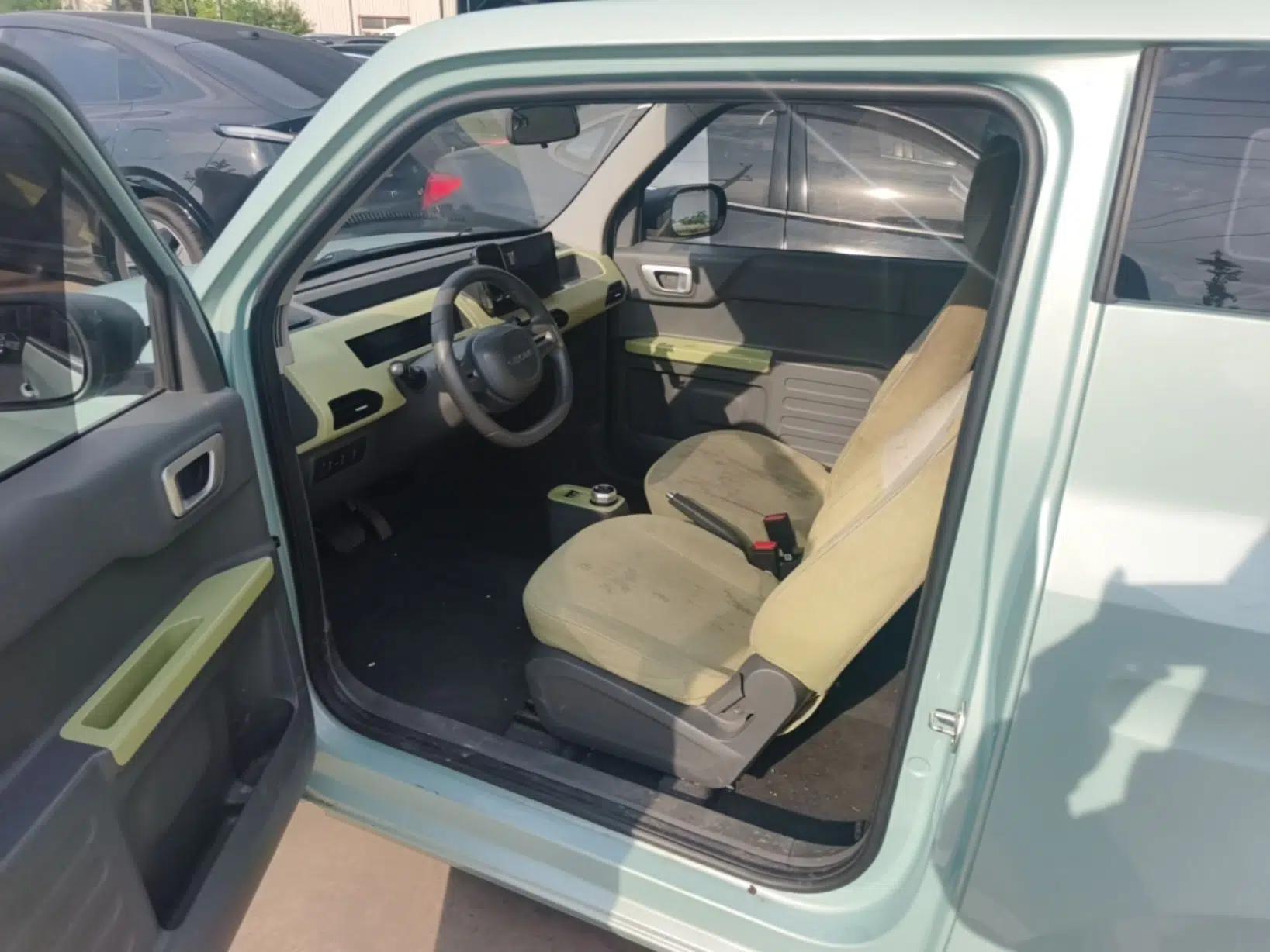 Geely Galaxy Panda 2023 Panda Mini 200km Endurance Bear — миниатюра 18