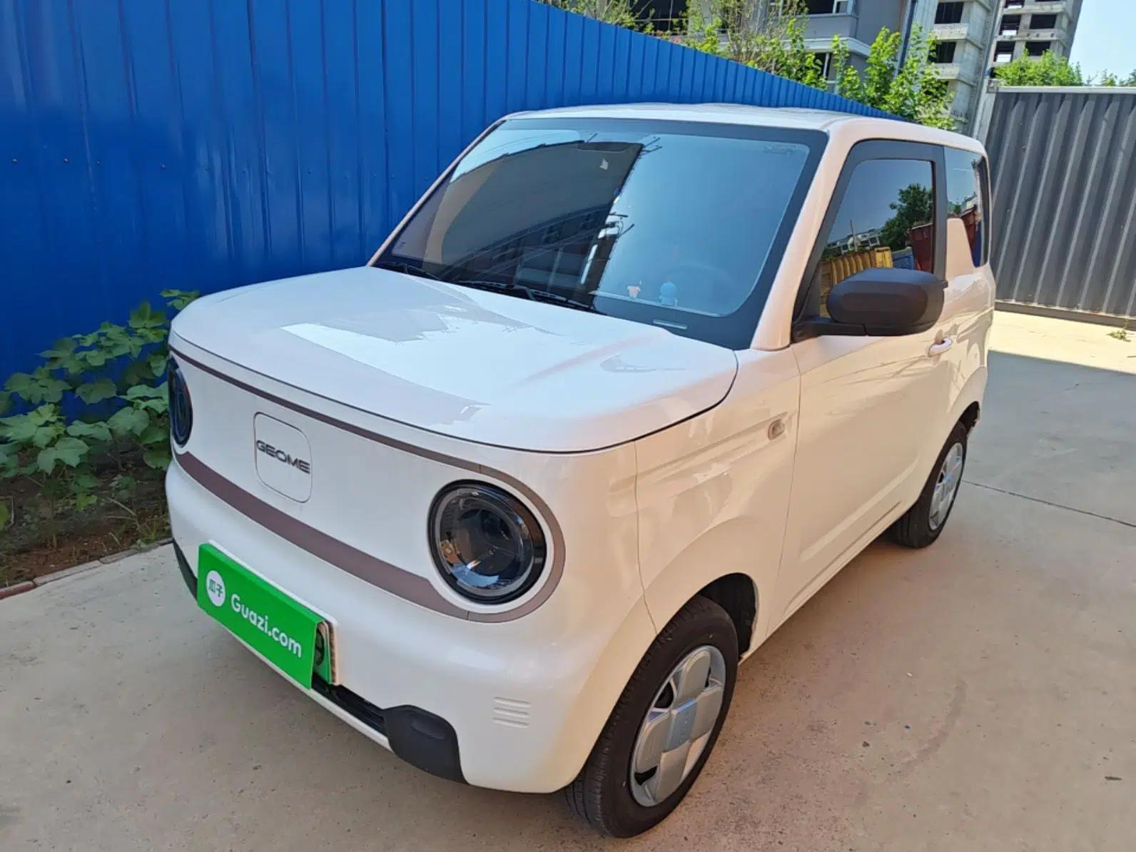 Geely Galaxy Panda 2023 Panda Mini 200km Endurance Bear — миниатюра 1