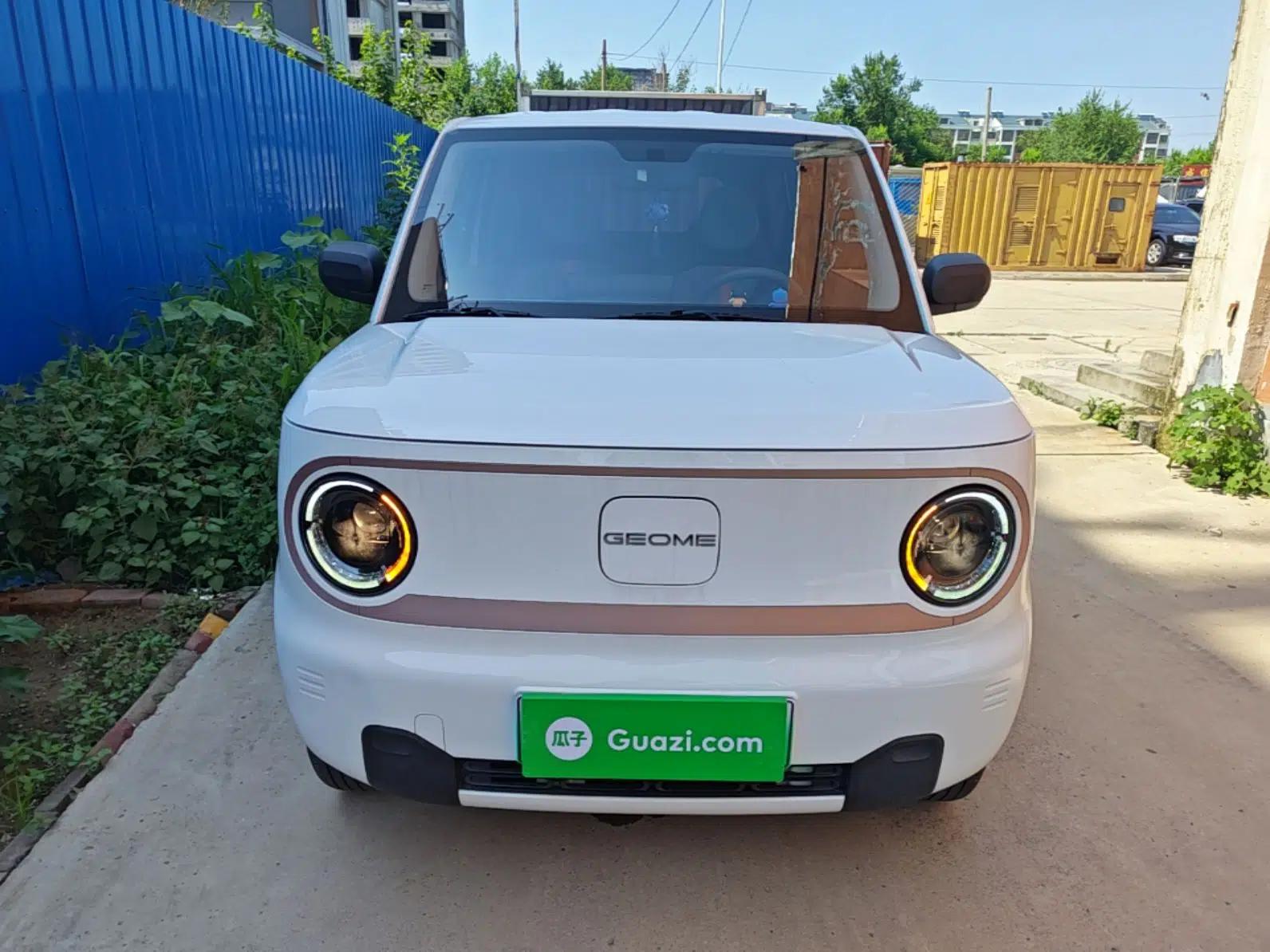 Geely Galaxy Panda 2023 Panda Mini 200km Endurance Bear — миниатюра 2