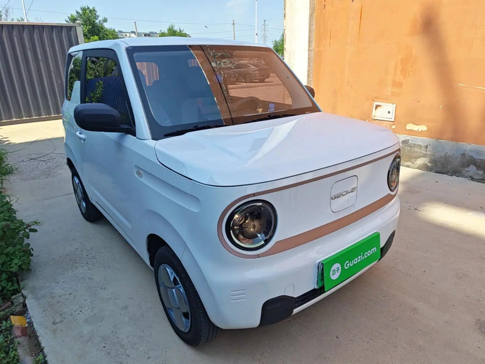 Geely Galaxy Panda 2023 Panda Mini 200km Endurance Bear — миниатюра 3